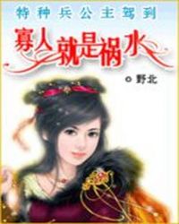 三国之蜀汉儒将